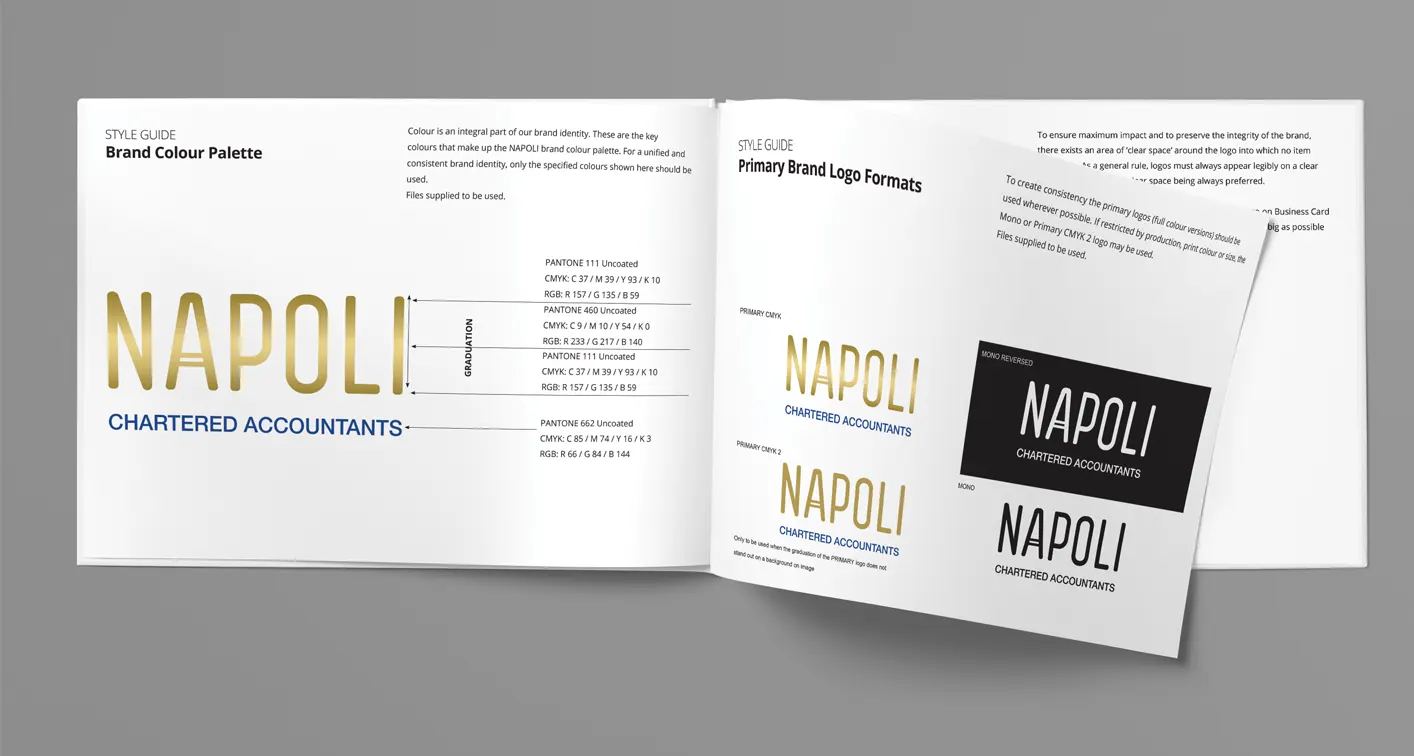 NAPOLI ACCOUNTING WEBSITE