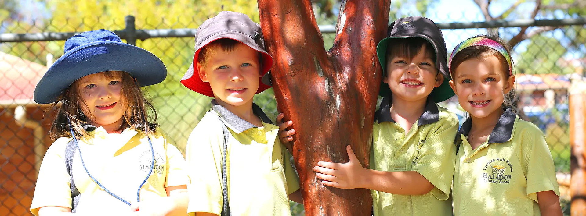 HALIDON PRIMARY SCHOOL WEBSITE