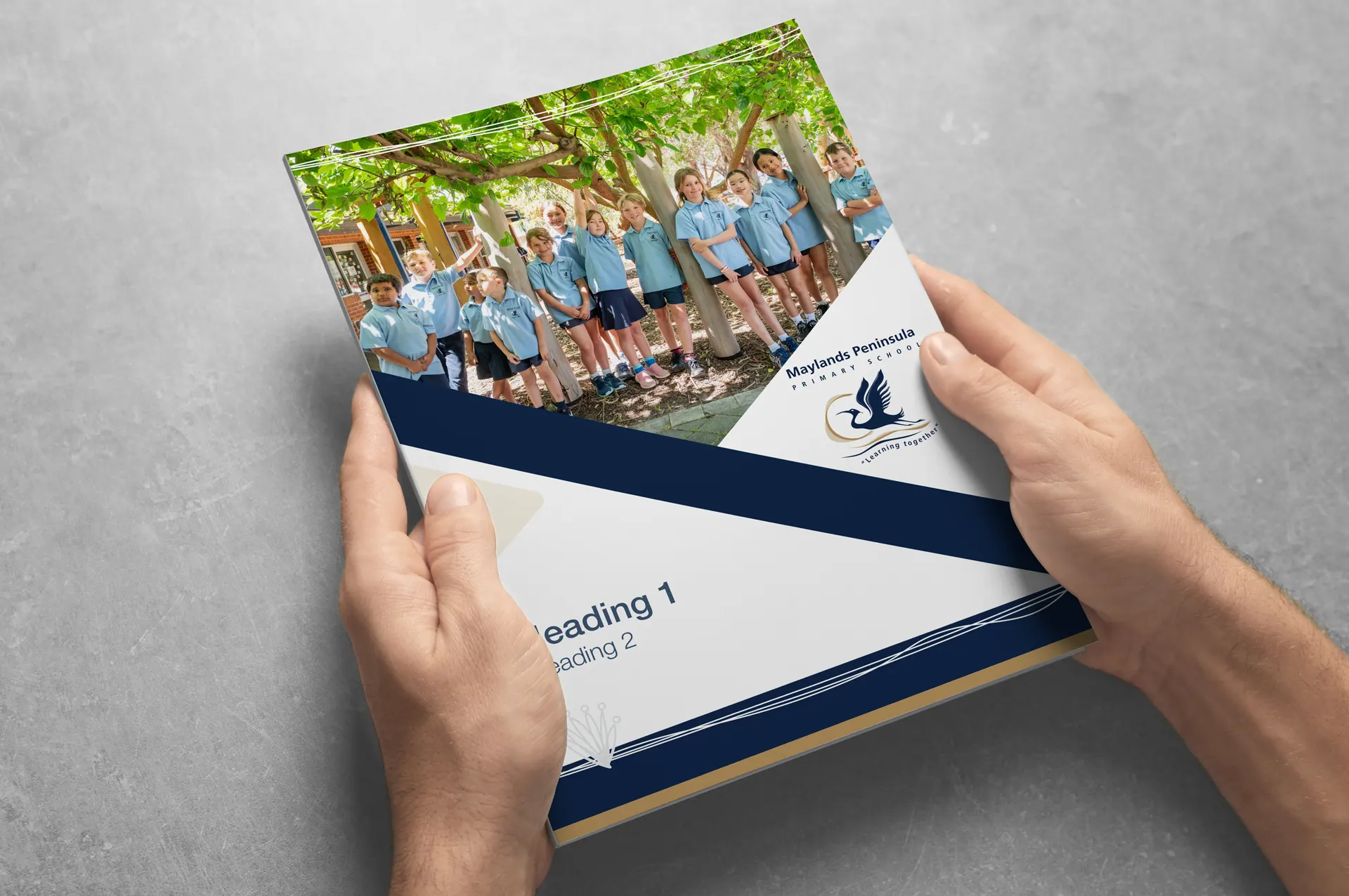 MAYLANDS PENINSULA PRIMARY SCHOOL BUSINESS PLAN 7 MAYLANDS PENINSULA PRIMARY SCHOOL BUSINESS PLAN