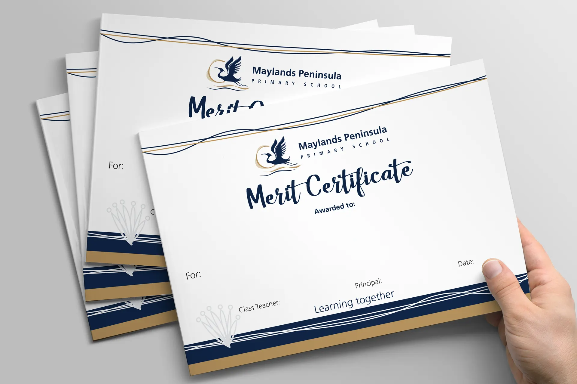 MAYLANDS PENINSULA PRIMARY SCHOOL BUSINESS PLAN 8 MAYLANDS PENINSULA PRIMARY SCHOOL BUSINESS PLAN